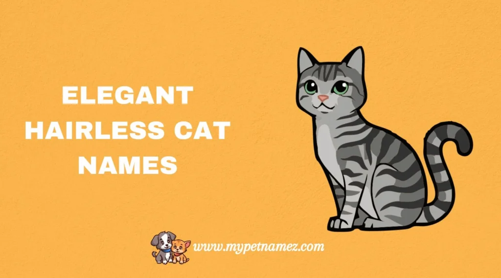 Elegant Hairless Cat Names