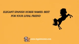 301 Elegant Spanish Horse Names: Best for Your Loyal Friend