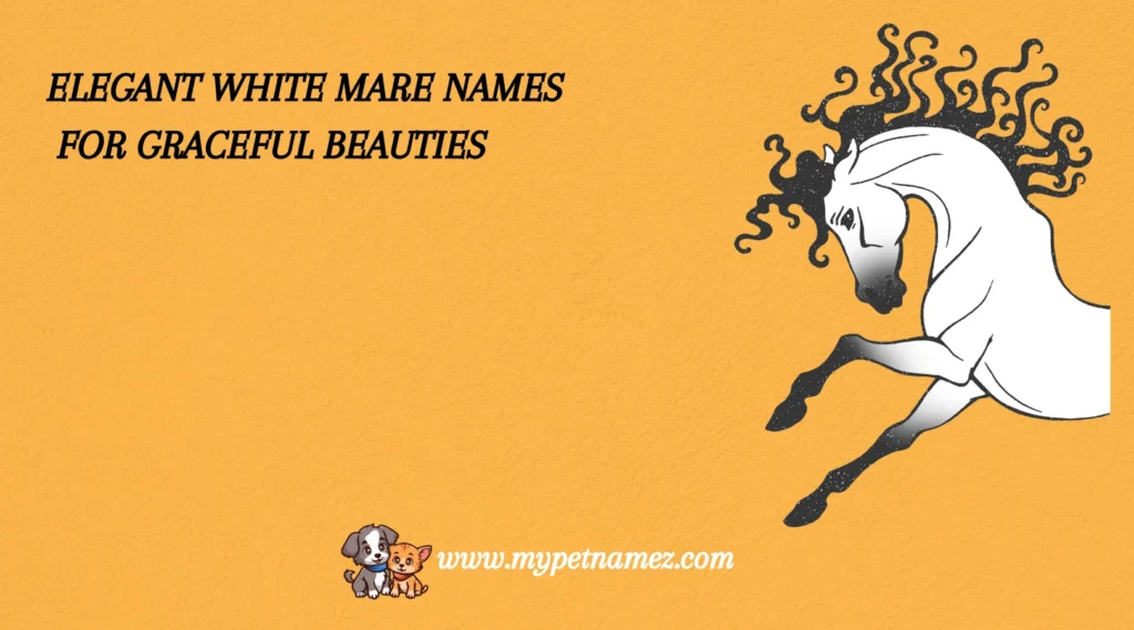 Elegant White Mare Names for Graceful Beauties
