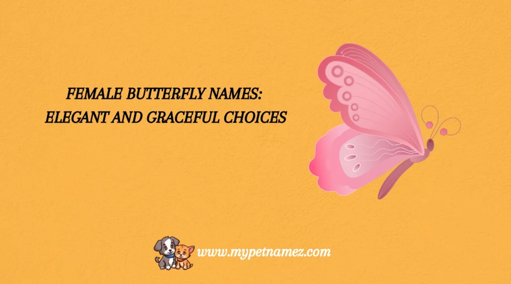 Female Butterfly Names: Elegant and Graceful Choices