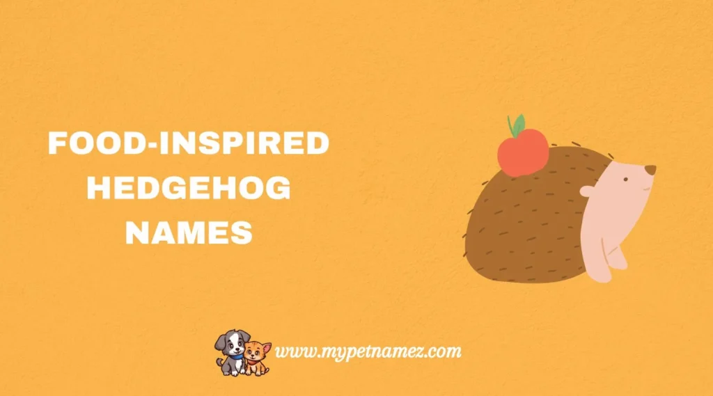 Food-Inspired Hedgehog Names
