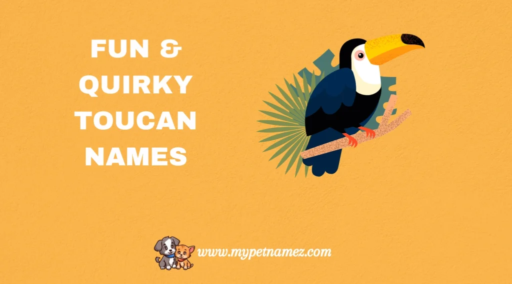 Fun & Quirky Toucan Names