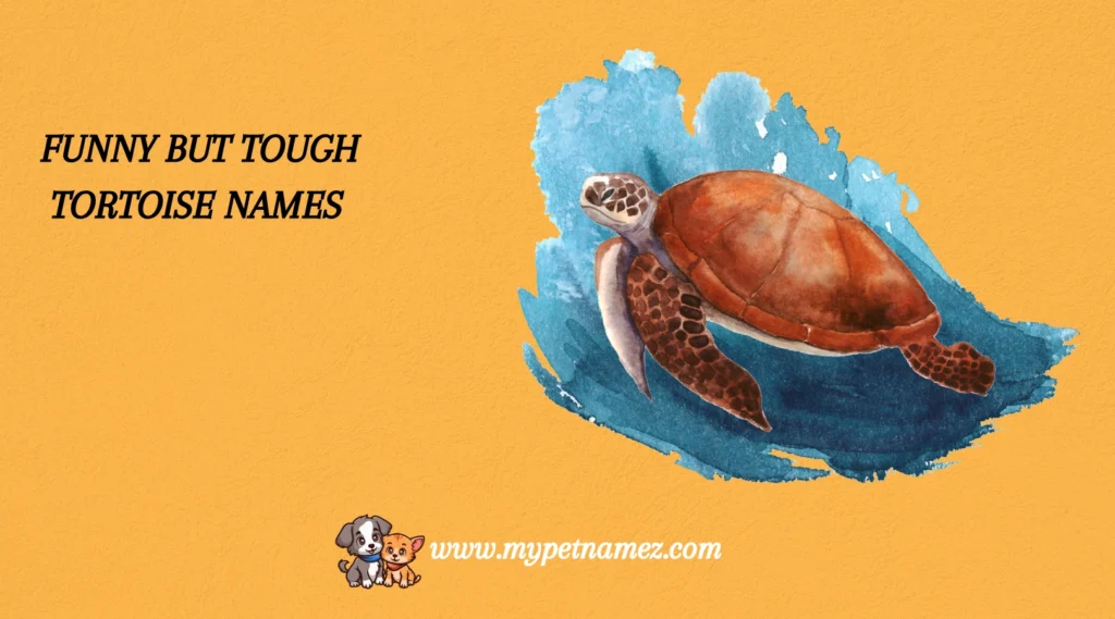 Funny but Tough Tortoise Names
