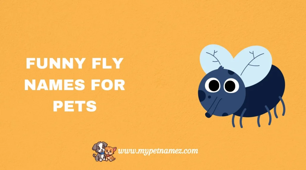 Funny Fly Names for Pets
