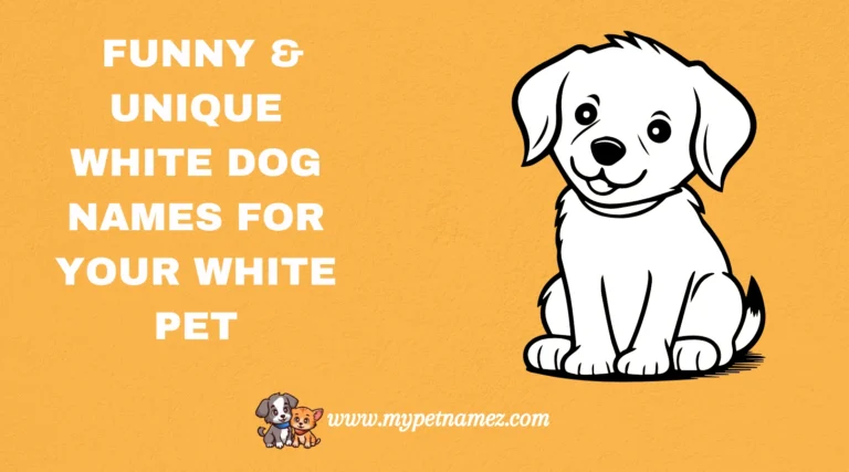 301 Funny & Unique White Dog Names for Your White Pet