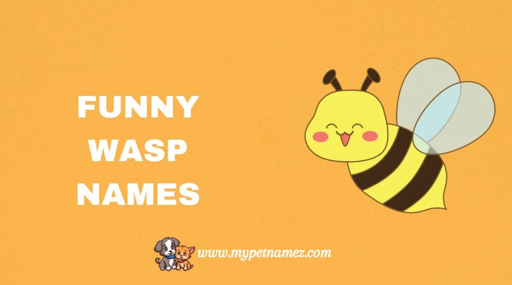 Funny Wasp Names