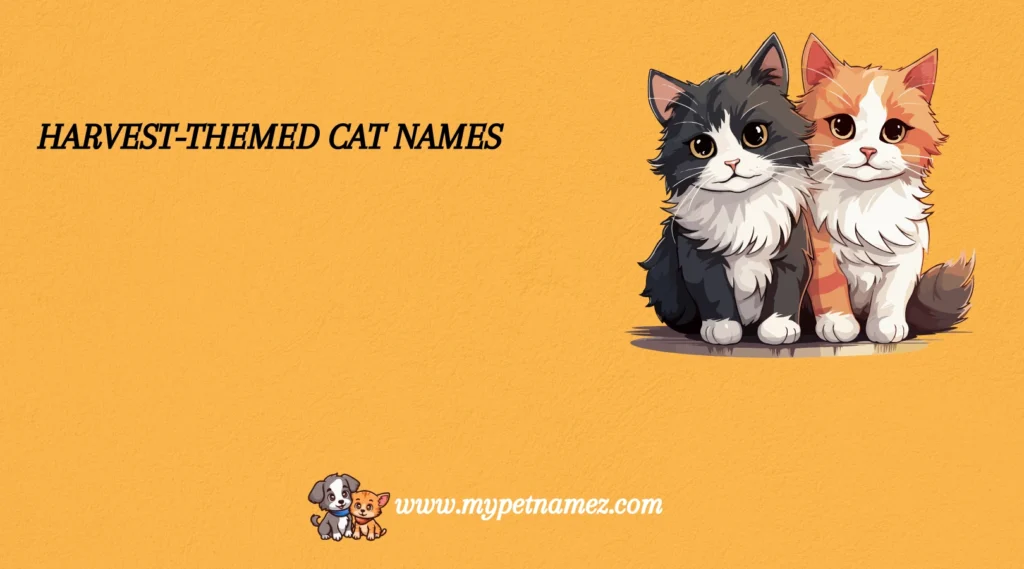 Harvest-Themed Cat Names