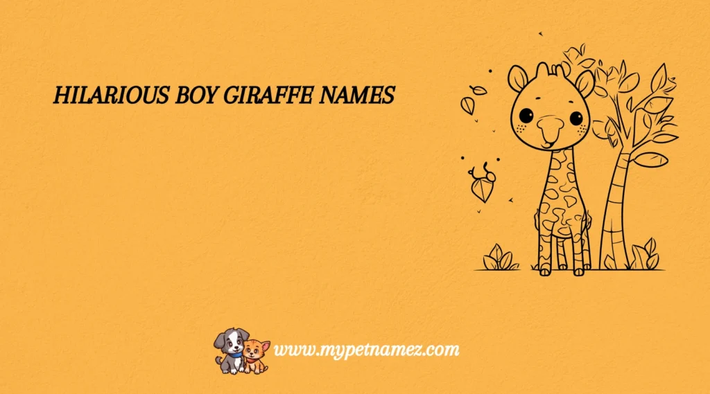 Hilarious Boy Giraffe Names