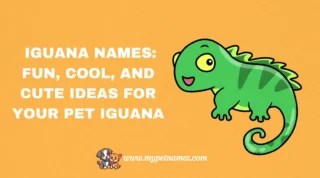 301 Iguana Names: Fun, Cool, and Cute Ideas for Your Pet Iguana