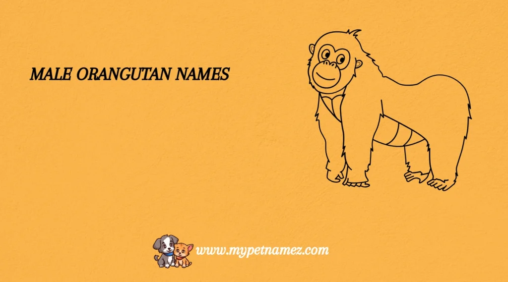 Male Orangutan Names