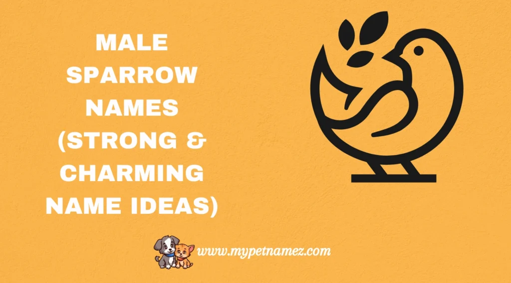 Male Sparrow Names (Strong & Charming Name Ideas)