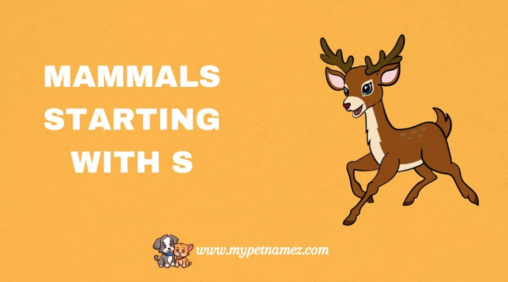 Mammals Starting with S