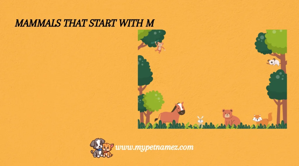 Mammals That Start with M