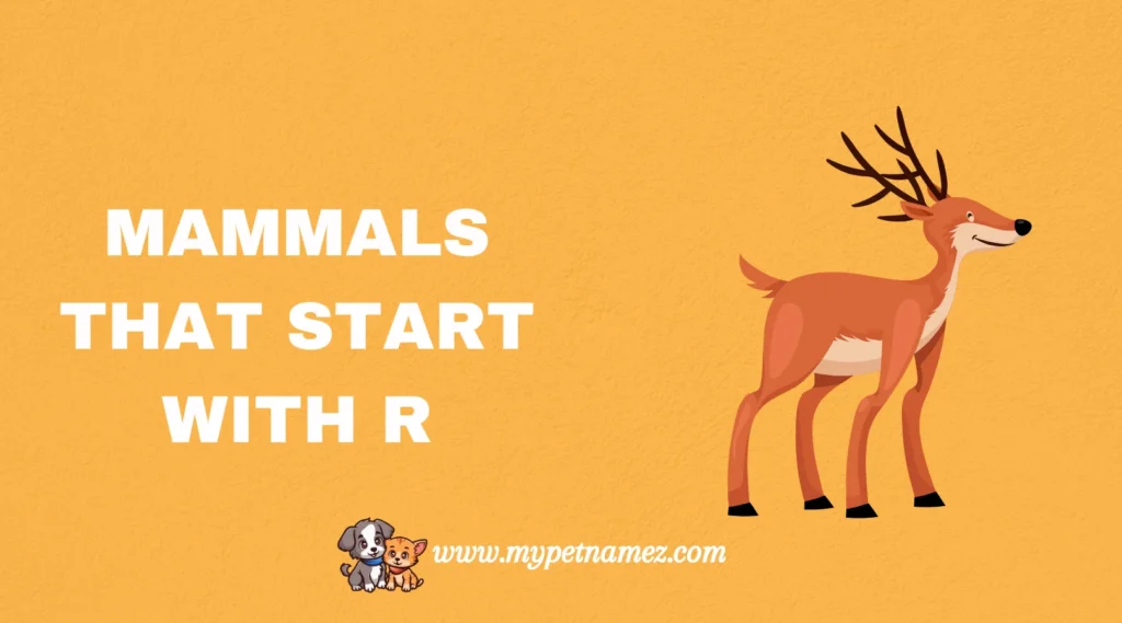 Mammals That Start with R