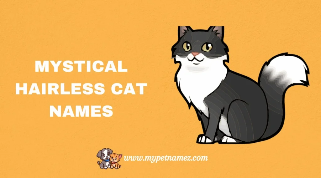Mystical Hairless Cat Names