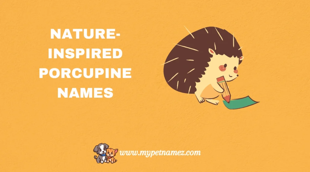 Nature-Inspired Porcupine Names