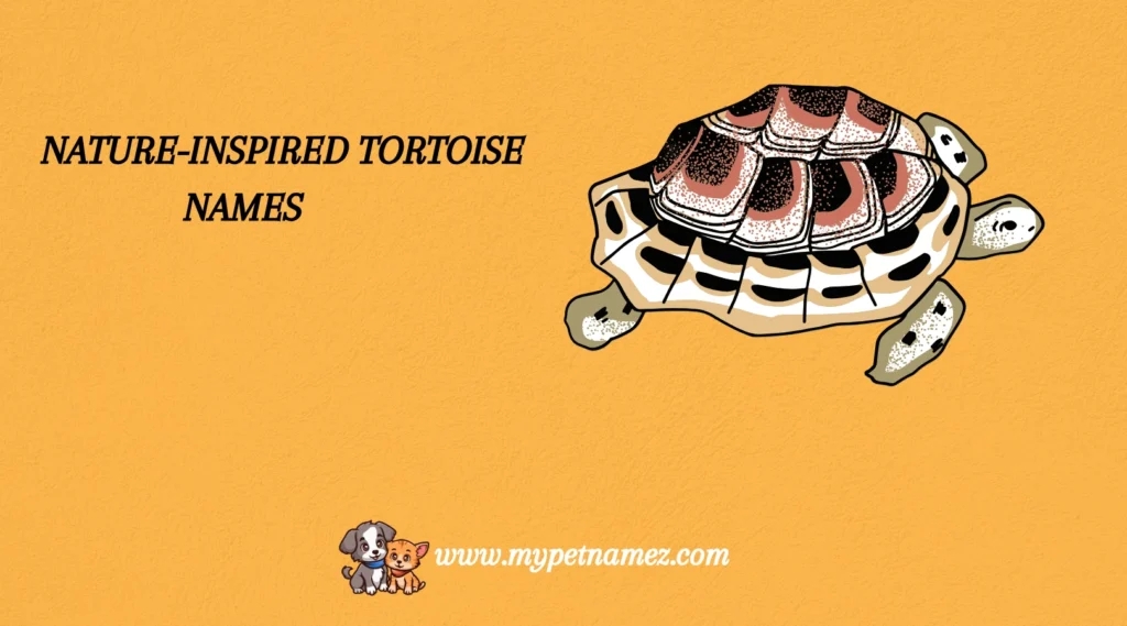 Nature-Inspired Tortoise Names