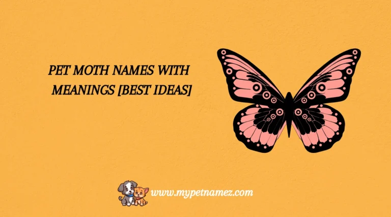 301 Pet Moth Names with Meanings [Best Ideas]