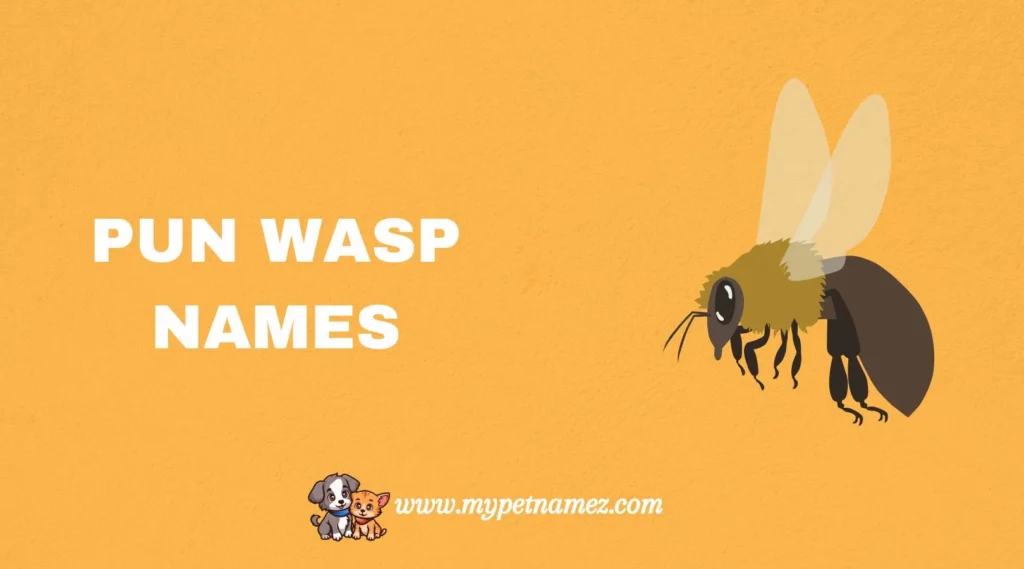 Pun Wasp Names