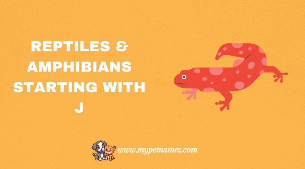 Reptiles & Amphibians Starting with J