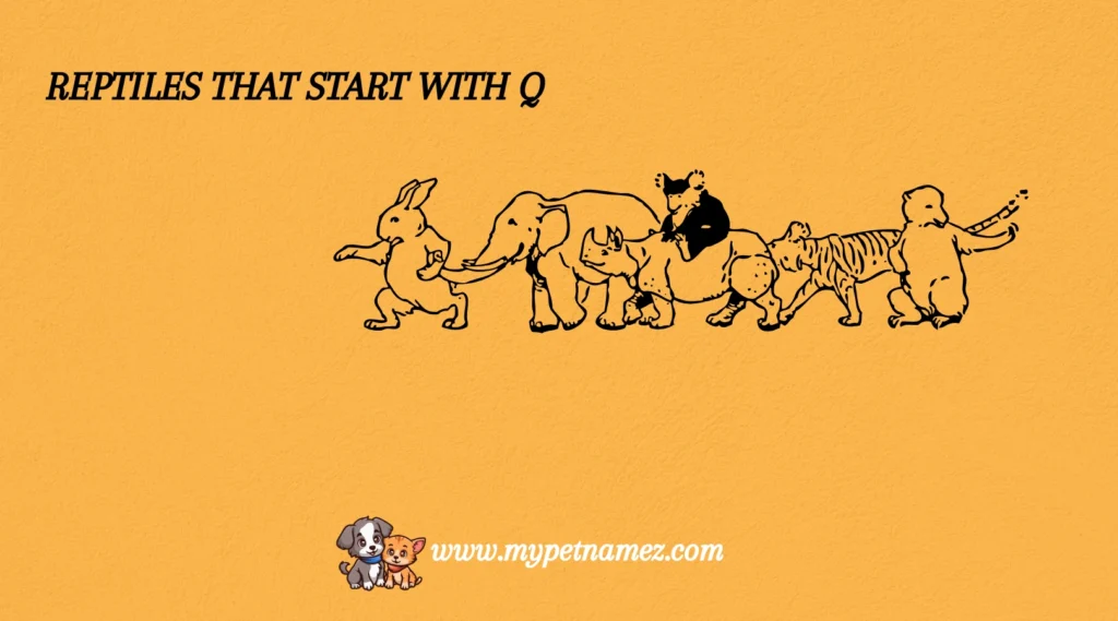 Reptiles That Start with Q