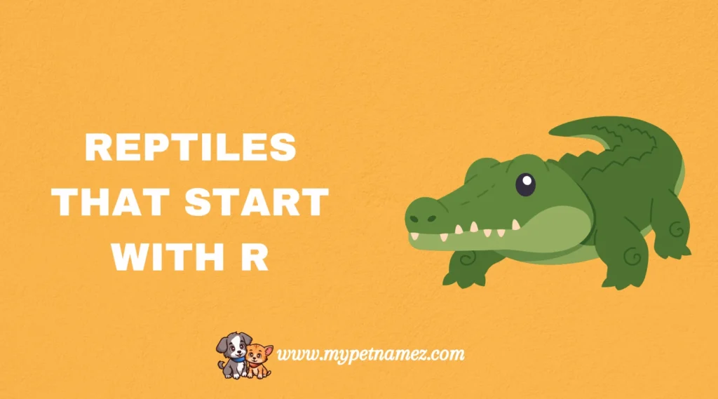 Reptiles That Start with R