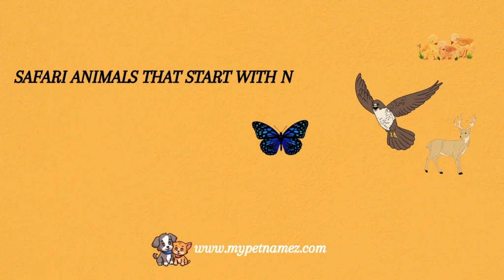 Safari Animals That Start with N