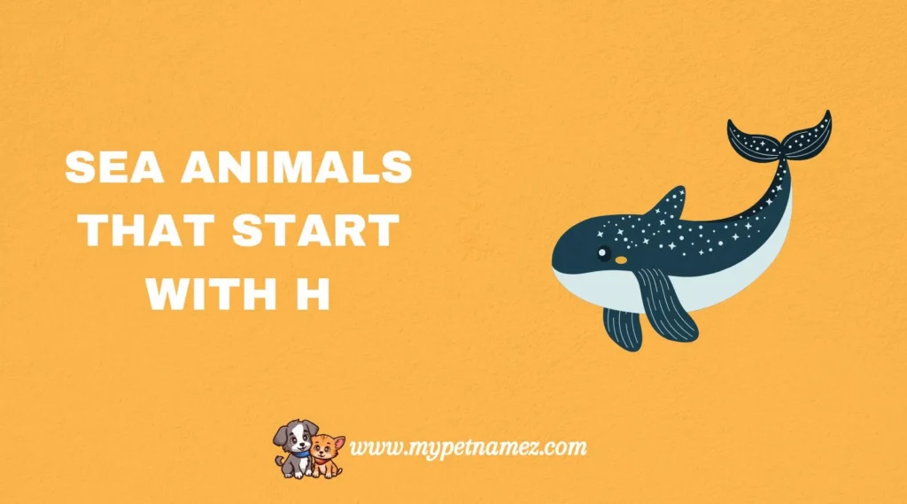 Sea Animals That Start With H