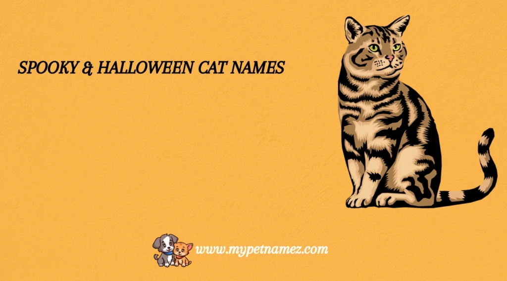 Spooky & Halloween Cat Names