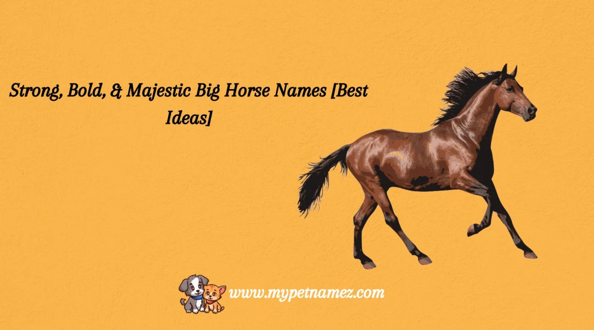 301 Strong, Bold, & Majestic Big Horse Names [Best Ideas]
