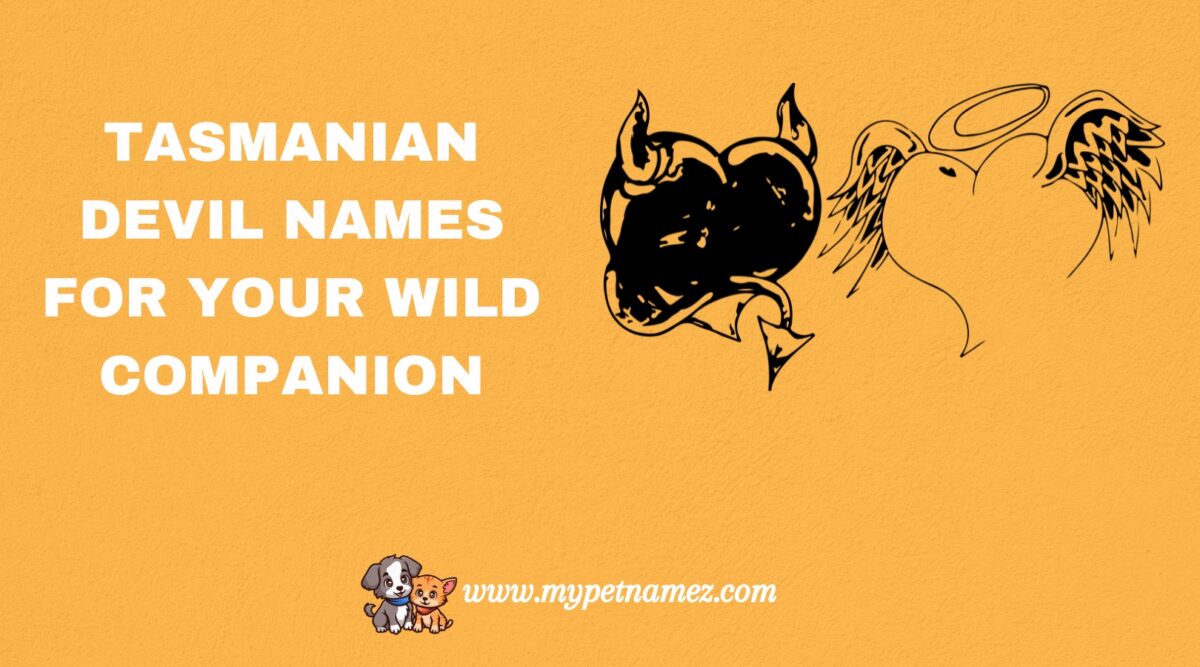 301 Tasmanian Devil Names for Your Wild Companion
