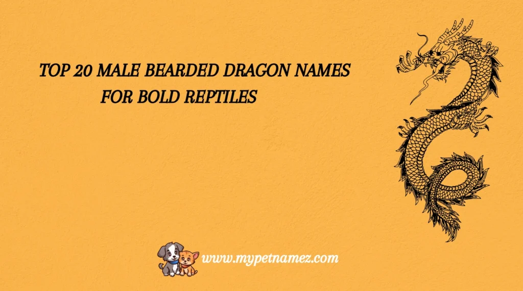 Top 20 Male Bearded Dragon Names for Bold Reptiles