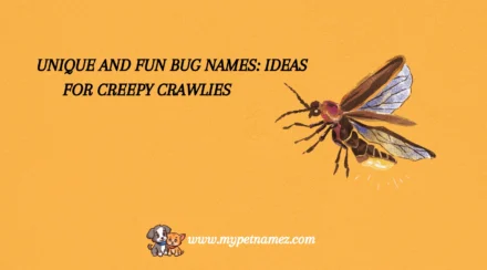 301 Unique and Fun Bug Names: Ideas for Creepy Crawlies