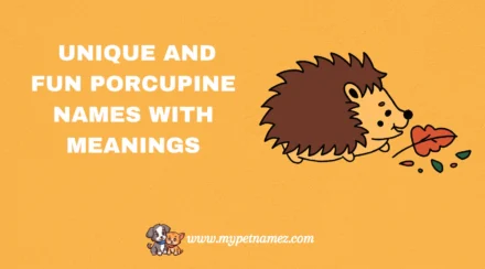 301 Unique and Fun Porcupine Names with Meanings