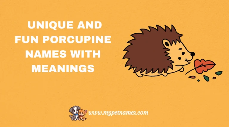 301 Unique and Fun Porcupine Names with Meanings