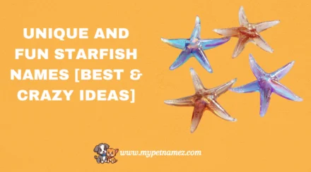 301 Unique and Fun Starfish Names [Best & Crazy Ideas]