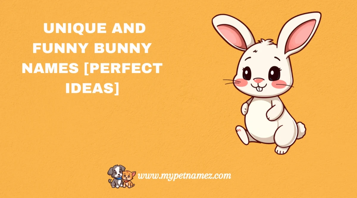301 Unique and Funny Bunny Names [Perfect Ideas]