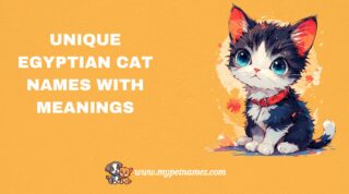 301 Unique Egyptian Cat Names with Meanings