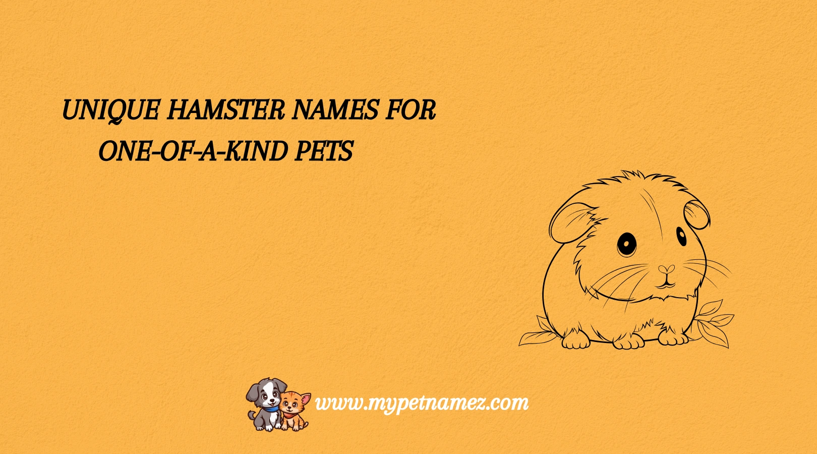 Unique Hamster Names for One-of-a-Kind Pets