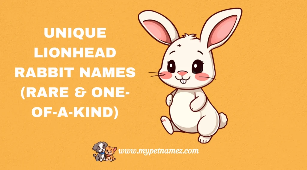 Unique Lionhead Rabbit Names (Rare & One-of-a-Kind)