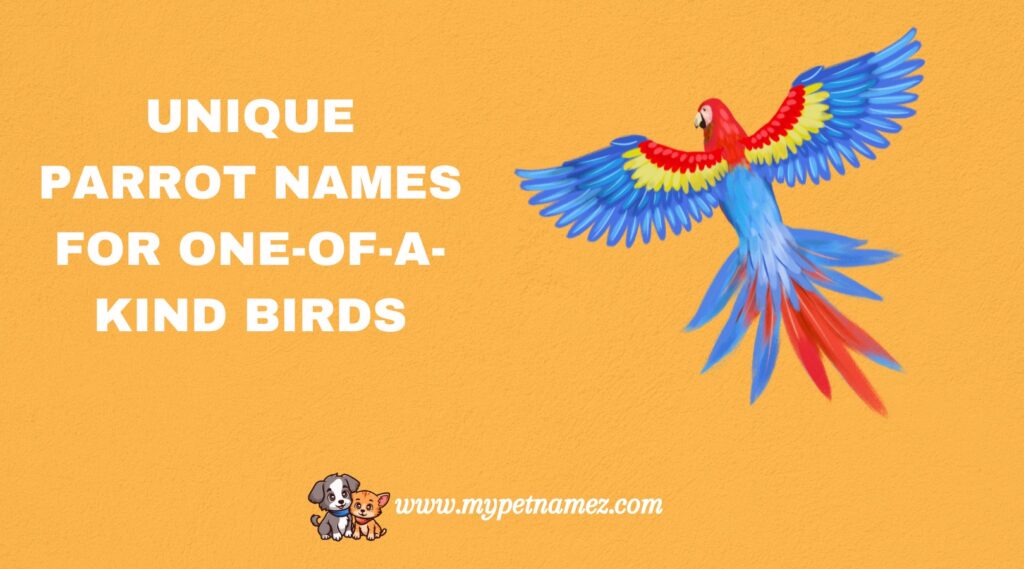 Unique Parrot Names for One-of-a-Kind Birds