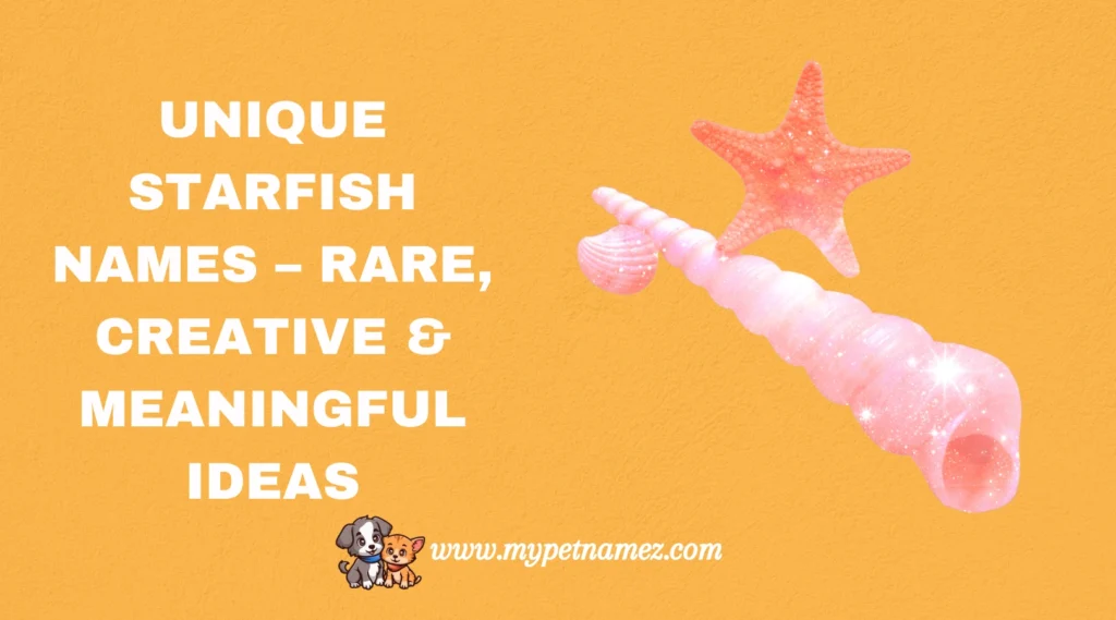 Unique Starfish Names – Rare, Creative & Meaningful Ideas