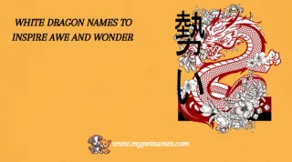 301 White Dragon Names to Inspire Awe and Wonder