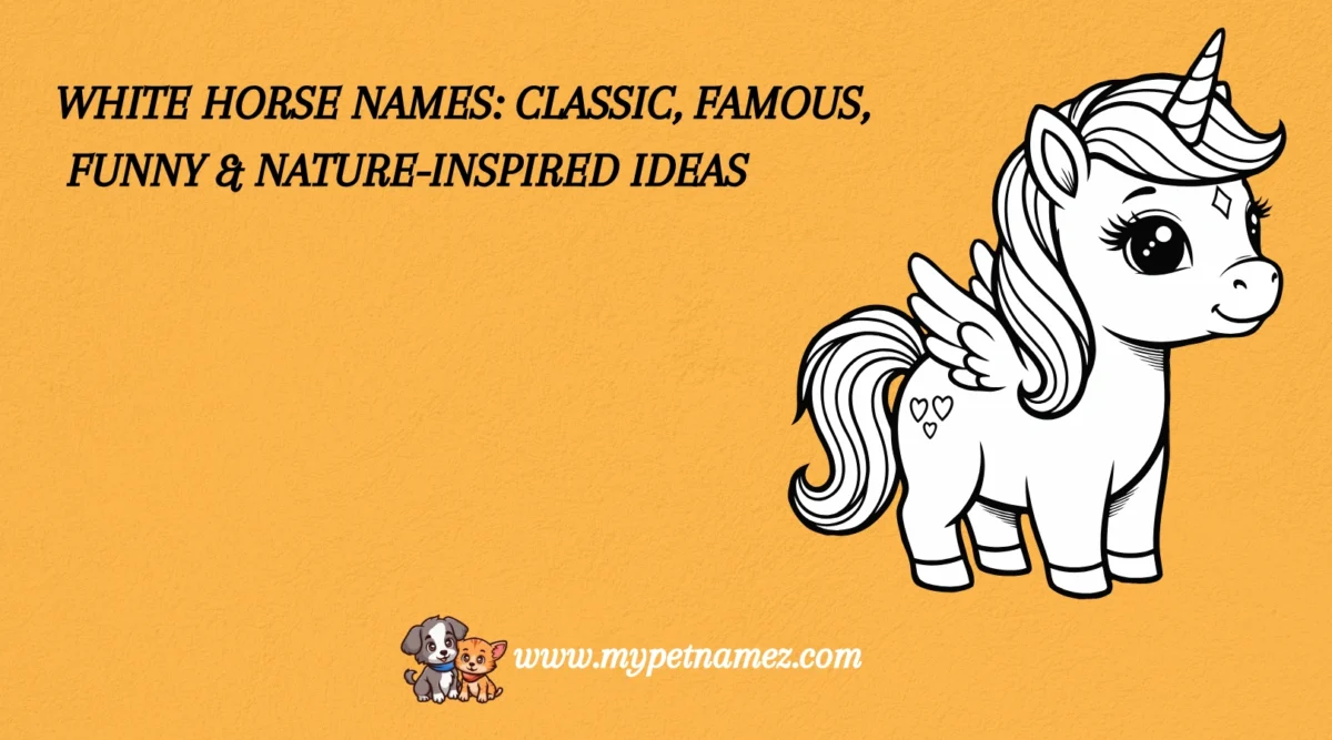 301 White Horse Names: Classic, Famous, Funny & Nature-Inspired Ideas