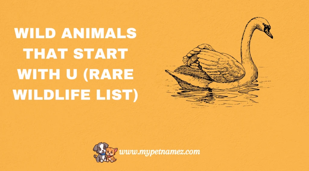 Wild Animals That Start with U (Rare Wildlife List)