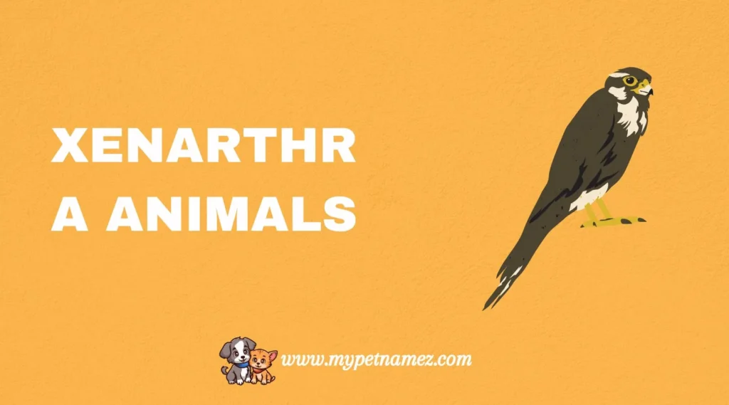 Xenarthra Animals