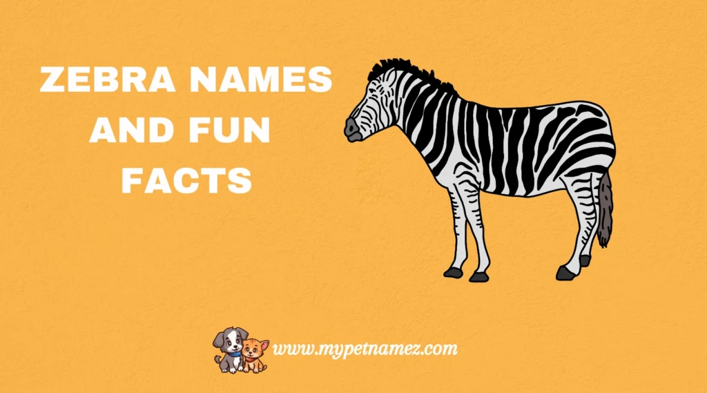 Zebra Names and Fun Facts