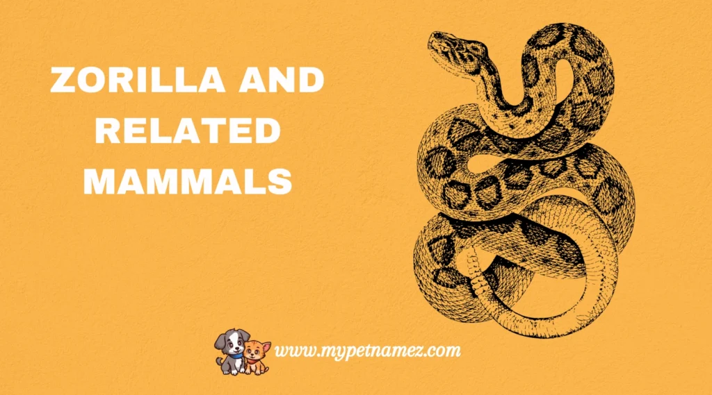 Zorilla and Related Mammals
