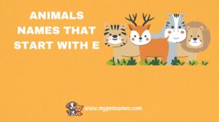 301 Animals Names That Start with E [Fun Facts & Complete List]