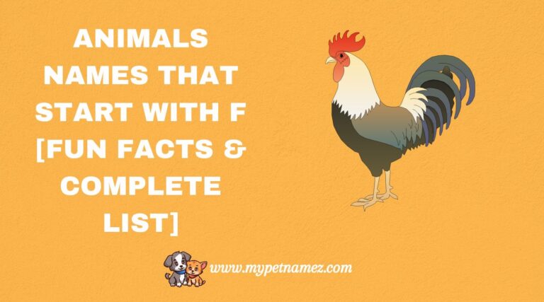 301 Animals Names That Start with F [Fun Facts & Complete List]